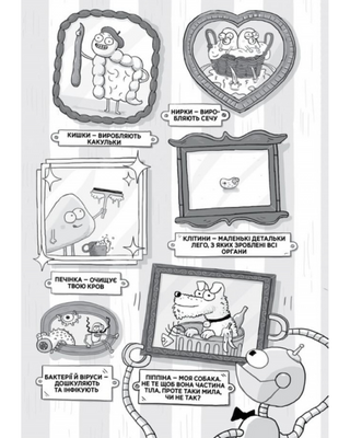 Анатомія для дітей