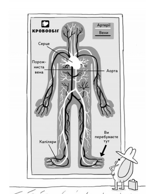 Анатомія для дітей