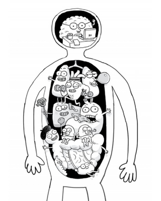 Анатомія для дітей