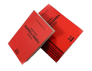 Camera lucida. Нотування фотографії