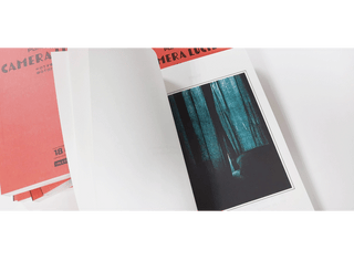 Camera lucida. Нотування фотографії