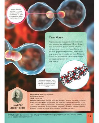 Children's encyclopedia of the human body