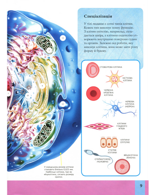 Children's encyclopedia of the human body