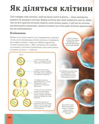 Children's encyclopedia of the human body