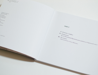 КАТЕРИНА БІЛОКУР. Малярство і проза (мала серія). Картинка №8