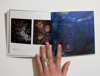 КАТЕРИНА БІЛОКУР. Малярство і проза (мала серія). Картинка №5