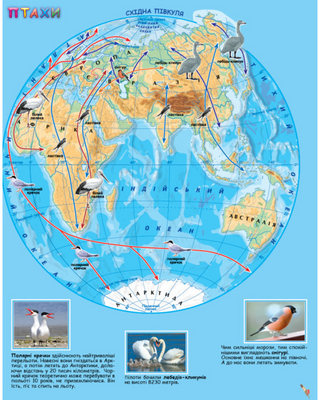 Мій перший атлас світу з наліпками. Птахи