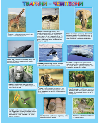 My first world atlas with stickers. Animals