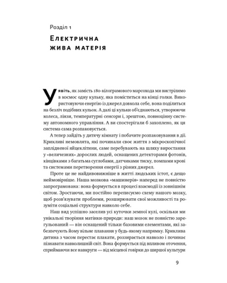 Секрети нейропластичності. Як мозок адаптується до нових викликів