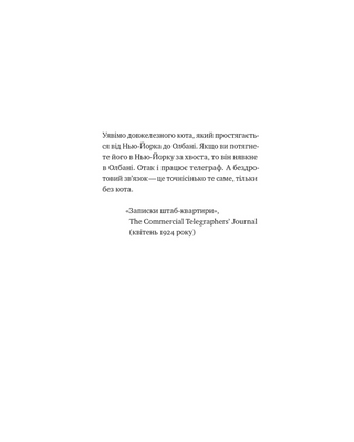 Універсальна теорія котиків в інтернеті.  Як культура впливає на технології і навпаки