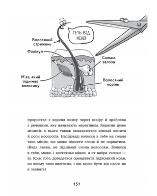 Анатомия для детей