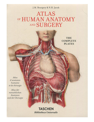 Jean-Baptiste Marc Bourgery. Bourgery. Atlas of Human Anatomy and Surgery.