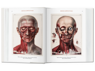 Bourgery. Atlas of Human Anatomy and Surgery