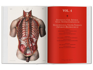 Bourgery. Atlas of Human Anatomy and Surgery