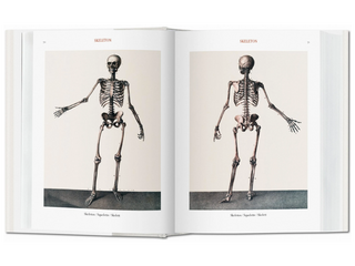 Bourgery. Atlas of Human Anatomy and Surgery