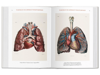 Bourgery. Atlas of Human Anatomy and Surgery