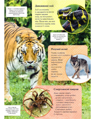 Children's encyclopedia of predators