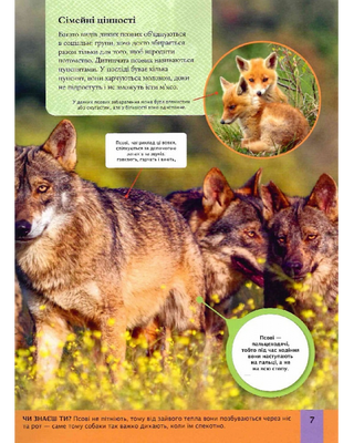 Children's encyclopedia of predators