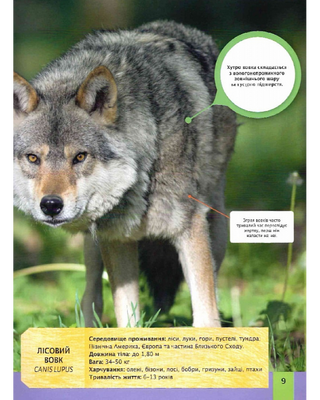 Children's encyclopedia of predators