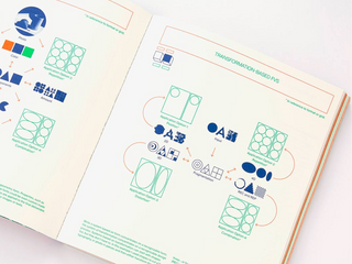 Flexible Visual Systems (4th ed)