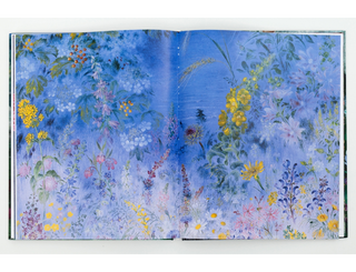 КАТЕРИНА БІЛОКУР: мистецька заповідь KATERYNA BILOKUR: An Artist’s Creed. Наталія Самрук. Картинка №4